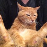 10948205_872323062791141_1749605429_a