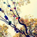 11326426_960870137279449_2115123136_a