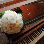 891523_337193479806002_827891848_a