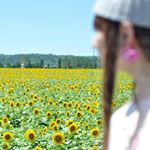 11312452_1005827316124769_1728366713_a