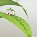 Profile_1028752630_75sq_1390838044