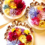 11326707_722093741247085_1423468341_a