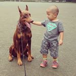 11336171_388878474642150_1654165908_a