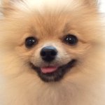 10326465_716248701769640_1644206389_a