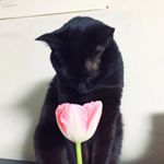 11363853_915624218508925_997951624_a