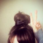 11355108_129848067351882_571431589_a