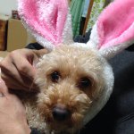 928737_280347528841765_92194798_a