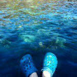 10518204_1484025855187791_1240559138_a