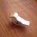 10467747_290914041090568_1705516318_a