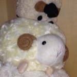 Profile_1056419450_75sq_1393938557