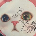 11324287_974222639306809_754916641_a