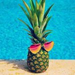 11875326_908027725958862_2146898755_a