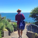 11296811_865459320212538_112813571_a