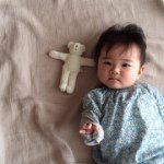 11325117_457373934387850_999727449_a