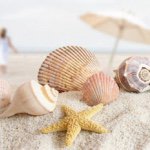 11187084_813930792009321_1839880204_a