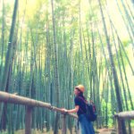 11193139_900440770046279_1697792987_a