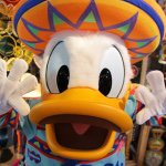 11311957_433848130121346_1256246103_a