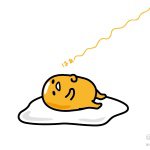 11429243_467099253453656_1085034215_a