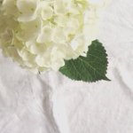 10471784_311624679003040_1169929881_a