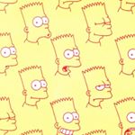 11327147_1086590518035416_755690126_a