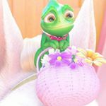 11325436_1477294752582449_60329960_a