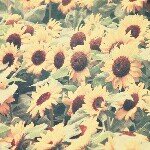 Profile_640767001_75sq_1398338031