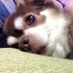 11374553_934838169888786_1514043255_a