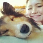 11203257_1589129688038757_1021344034_a