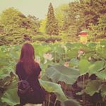 11264523_1607072516248242_441628962_a