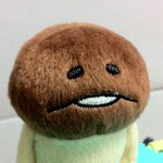 11371010_517030265117647_1409753672_a