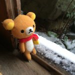 11024159_606504766119748_1694755865_a