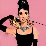 10547173_263798970478538_954653285_a