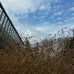 1516324_1622665587946843_298396464_a