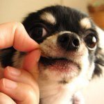 10865046_939499016107695_1264712665_a