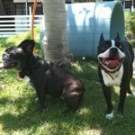 11809993_741485632628417_1108034807_a