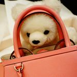 11418898_1603594399922984_624592071_a