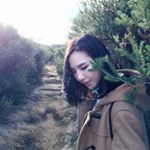 11385598_146294119039972_1256653047_a