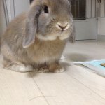 10632075_323651027813348_192616119_a