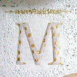 11371081_1481862735440985_1959614359_a