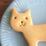 11326143_1605490009711335_363467377_a