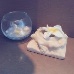 11117028_1615157655437830_977962919_a