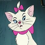 11357003_772074172914618_955516824_a