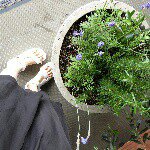 11378891_437128986458489_803163906_a