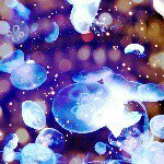 891530_351880535017698_1363488273_a