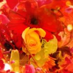 10843827_572774766199544_161190936_a