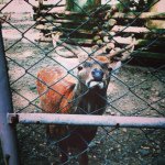 10666254_516609768471826_1425592706_a