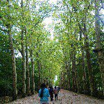 10724091_1486557364956146_1961154723_a