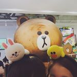 11850271_401185490076994_327816187_a