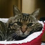 11375177_607728762701613_949926758_a