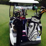 10643910_689046064513780_195941698_a